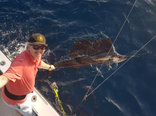 True Blue Sportfishing love to catch Grenada sailfish