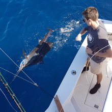 True Blue Sportfishing love to catch Grenada sailfish