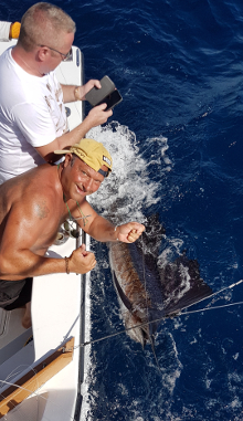 True Blue Sportfishing love to catch Grenada sailfish