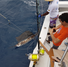 True Blue Sportfishing love to catch Grenada sailfish