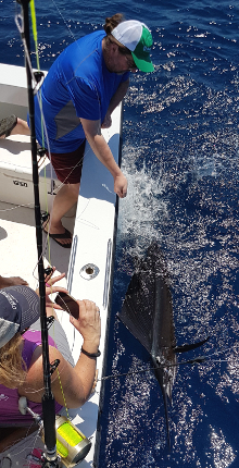 True Blue Sportfishing love to catch Grenada sailfish