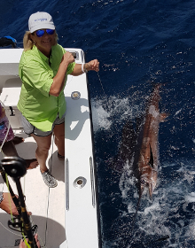 True Blue Sportfishing love to catch Grenada sailfish