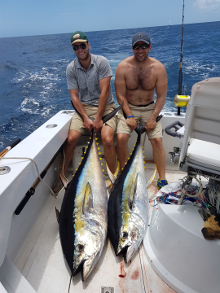 Grenada has big yellowfin tuna catch one onboard Yes Aye