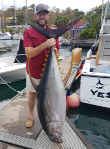 Grenada has big yellowfin tuna catch one onboard Yes Aye