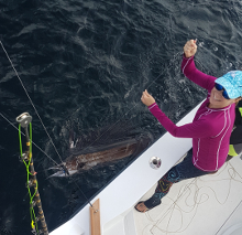 True Blue Sportfishing love to catch Grenada sailfish