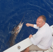 True Blue Sportfishing love to catch Grenada sailfish