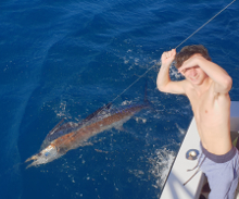 True Blue Sportfishing love to catch Grenada sailfish