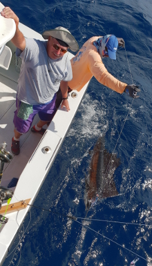 True Blue Sportfishing love to catch Grenada sailfish