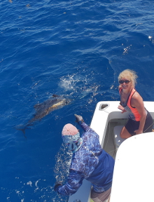 True Blue Sportfishing love to catch Grenada sailfish