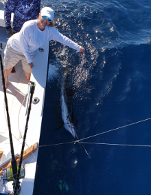 True Blue Sportfishing love to catch Grenada sailfish