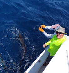 True Blue Sportfishing love to catch Grenada sailfish