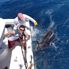 True Blue Sportfishing love to catch Grenada sailfish