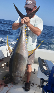 Grenada has big yellowfin tuna catch one onboard Yes Aye