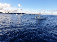 sibt2020 boats lined up awaiting the bimini start
