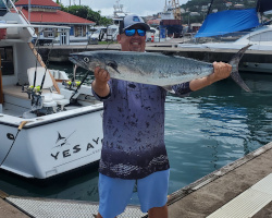 14 7 king mackerel