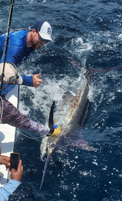 27 7 blue marlin 300 lb