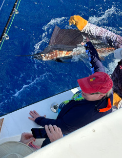 sailfish 11th jan