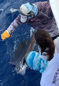 sailfish 18 jan 2024