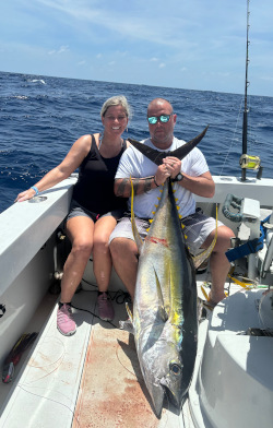 yellowfin tuna 22 march