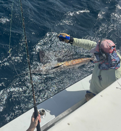 sailfish triple