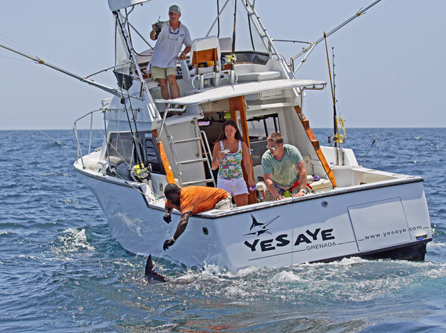 YesAye with a marlin taken during WFN film shoot
