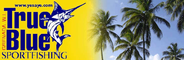 true blue sportfishing palm tree logo