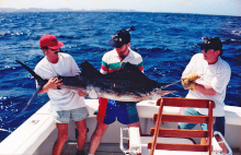 sailfish 1998