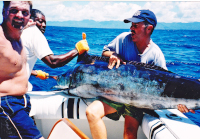 glens blue marlin the first of many for him, Gary holds it on back of boat
