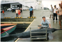 543lb marlin at the fish market dock with captor David clouder