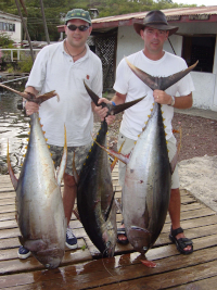 2 male anglers with their 2 tuna at GYS dock