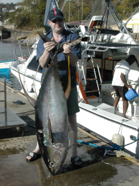 Tony Deacon with his big tuna at fishmarket dock St george's