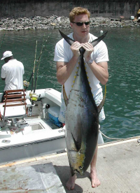 Mr Sibson hoists up his tuna at fishmarket dock