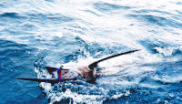 Barry Cole's blue marlin by the boat