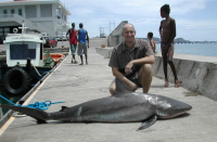 bull shark with angler at fishmarket dock ST george's