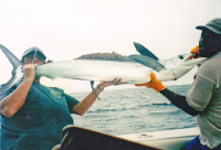 badgers white marlin with Leslie at back of boat