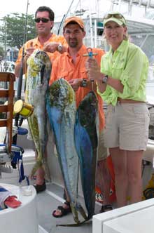 dorado caught in Grenada with true blue Sportfishing