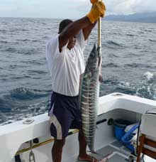 Leslie holds up Reinhold's wahoo showing glorious stripes