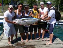 nice yellowfin tuna catch True blue Sportfishing