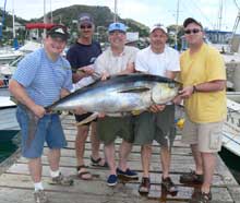 big yellowfin tuna caught by true blue Sportfishing grenada