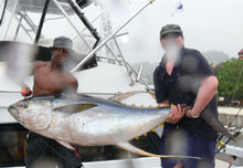 catch big yellowfin tuna like thgis in grenada onboard yes aye