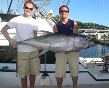 grenada has big yellowfin tuna come catch them with true blue Sportfishing