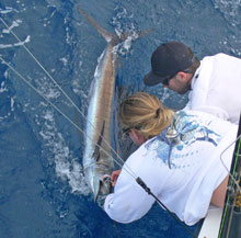 come learn how to catch sailfish in grenada on Yes Aye