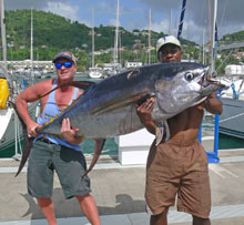 Grenada has BIG yellowfin tuna like this one caught on yes aye