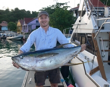yellowfin tuna caught on yes aye Grenada